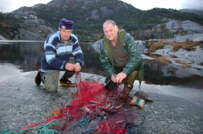 Klikk p� bilete for full storleik