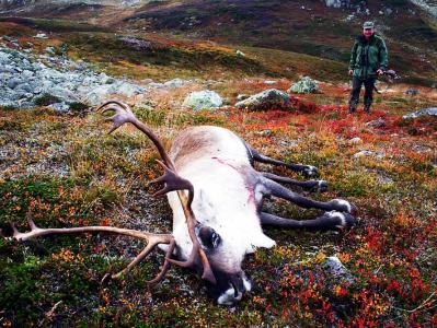 Klikk p� bilete for full storleik