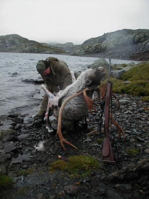 Klikk p� bilete for full storleik